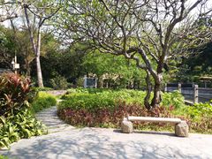 -晓港公园