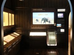 -上海电信博物馆