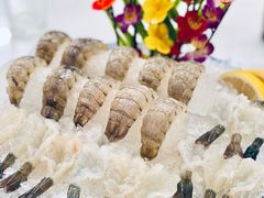 瀨尿蝦刺身-嘉升大排档(番禺总店)