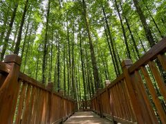 -山王坪喀斯特国家生态公园