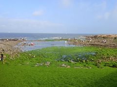 -日照世帆赛基地