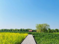 -永定河休闲森林公园