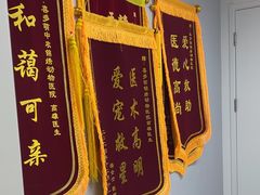 -喜多萌中农锦绣动物医院24H·猫科·牙科MRI·CT