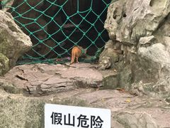 -静安公园(静安寺街道)