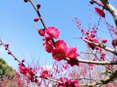 -莘庄公园