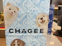 -石家庄正定国际机场-T2航站楼