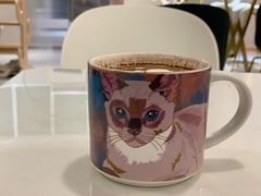巧克力牛奶-飞行喵MR PILOT|猫舍·猫咖(静安大融城店)