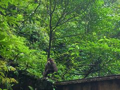 -西岭雪山大飞水景区