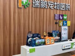 -瑞鹏宠物医院·骨科·猫科·内科(第一中心)