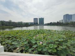 -西海子公园