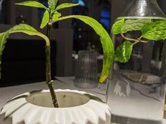 -春树下·树屋花房西餐厅(罍街AS1980店)