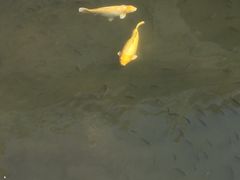 -珠海圆明新园