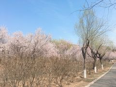 -门城湖公园