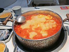 -濠七糟粕醋•海南酸汤火锅(中关村店)