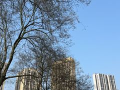 -龙头寺公园