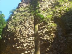 -雁荡山风景名胜区-小龙湫