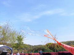 -龙寺生态园
