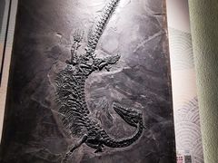 -贵州省地质博物馆
