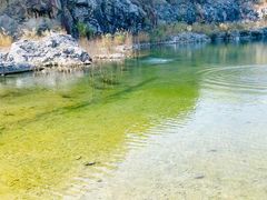 -黄埔油麻山森林公园