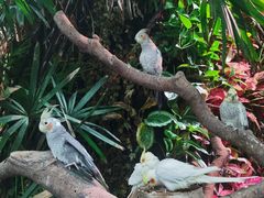 -正佳雨林生态植物园