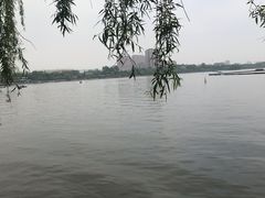 -毛家饭店(澳德乐店)