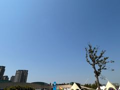 -新江湾城公园