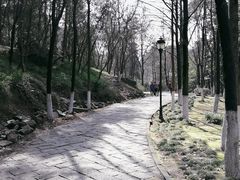 -峙山公园