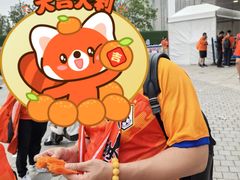 -泰达足球场
