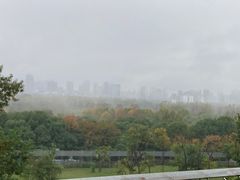 -合肥野生动物园