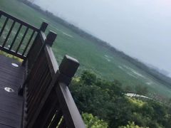 -天津东丽湖风景区