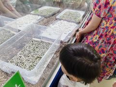 -上海昆虫博物馆