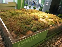 -中国湿地博物馆