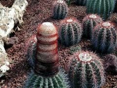 -南通洲际绿博园