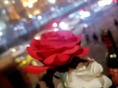景观位-花马天堂云南餐厅 Lost Heaven(外滩店)