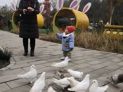 -黄龙溪欢乐田园
