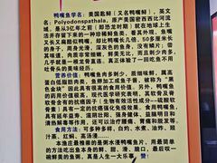 -鸿渡渔庄·特色鸭咀鱼