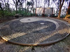 -上海佘山国家森林公园天马山园