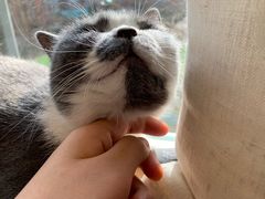 -猫和宫(六道口店)