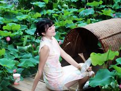 -花之城