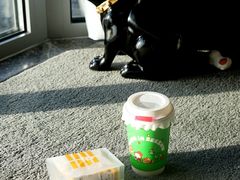 -Seesaw Coffee(朝阳大悦城店)