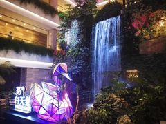 -白天鹅宾馆·流浮阁咖啡厅