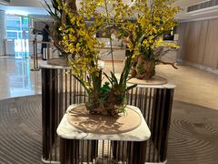 -香港皇家太平洋酒店