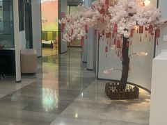 -牙博士口腔品牌连锁(杨浦店)