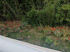 -千岛湖-欢乐水世界