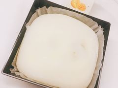 -林记开心动物奶油生日蛋糕(凤凰城店)