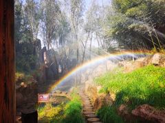 -雪山彩虹谷景区