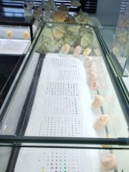 -众刺纹画·纹身·穿孔饰品·海娜定制