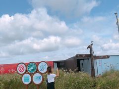-盐城丹顶鹤湿地生态旅游区