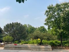 -莲花池公园