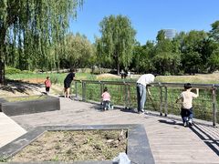 -群力丁香公园